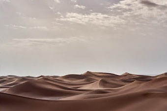 探秘东莞科学馆的沙漠奇妙之旅！颠覆常规的沙漠展览！