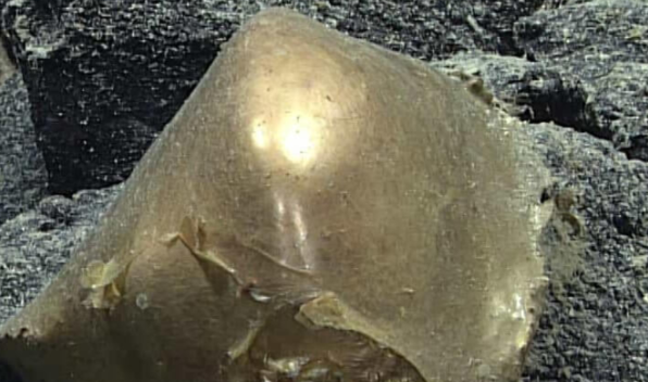 神秘金色球体：海底发现引发科学谜团
