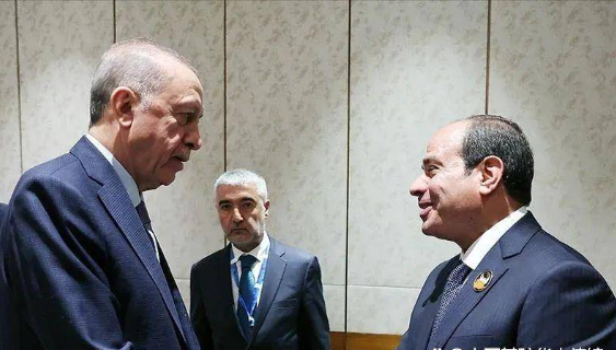 土耳其总统埃尔多安敦促以色列终止对加沙袭击：呼吁国际社会促成停火