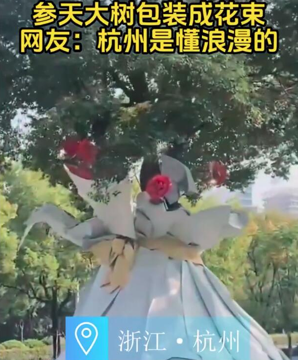 杭州下沙一棵巨型树被打造成梦幻花束，市民纷纷为之惊叹