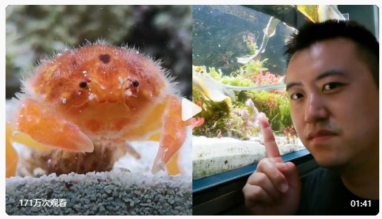 自建海洋馆，小伙隐居6年拍摄1500多科普视频，令人惊叹！