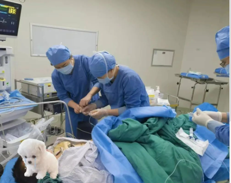 东莞3岁女童玩耍意外！铅笔尖穿颅骨，紧急手术抢救生命