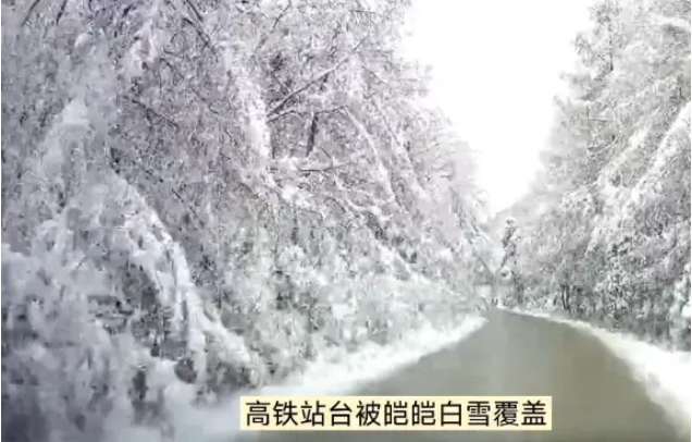 冰雪肆虐：河南成交通重灾区，电力交通双受困