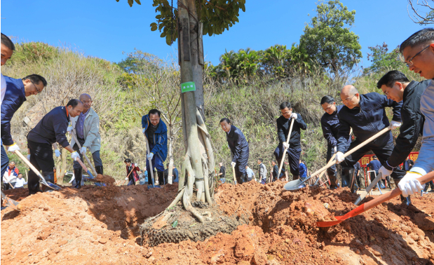 东莞市领导参与2024年义务植树活动