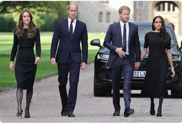 哈里王子与梅根对凯特王妃癌症感到震惊，媒体披露二人“毫不知情”