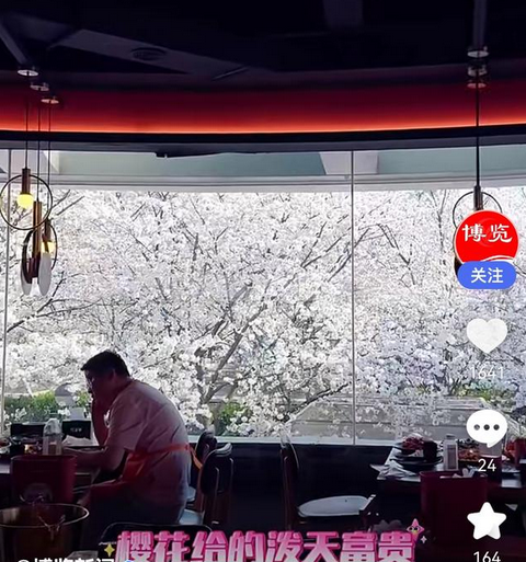 上海餐厅巧妙运用樱花举办盛宴，惊艳了食客