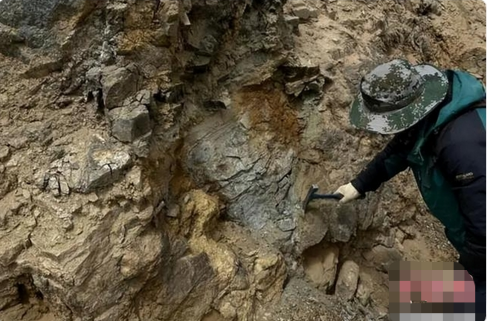 青海柴达木盆地发现巨型金矿，潜在经济价值超200亿元